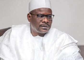 Senate Demotes Ndume to Chairman of Tourism Committee