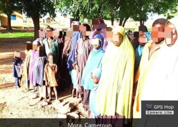 69 Boko Haram terrorists surrender in Cameroon, Niger-MNJTF