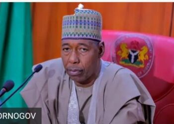 Don’t Participate In Protest, Gov Zulum Tells Citizens