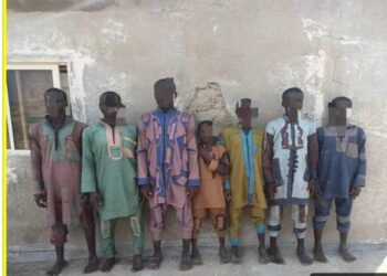 263 Boko Haram terrorists surrender to MNJTF
