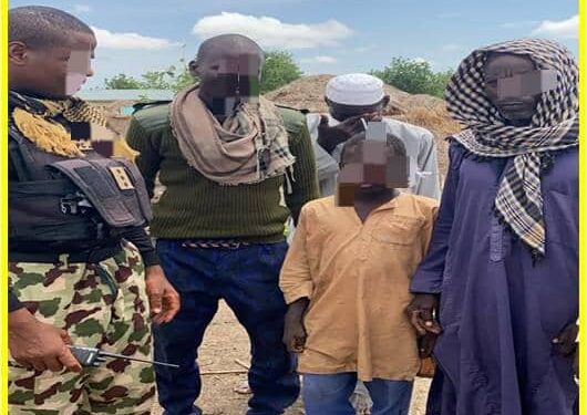 MNJTF troops neutralise 9 terrorists, recover arms in operation Lake Sanity 2