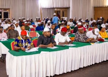 Ohanaeze Ndigbo youth body hails Tinubu for SEDC Act