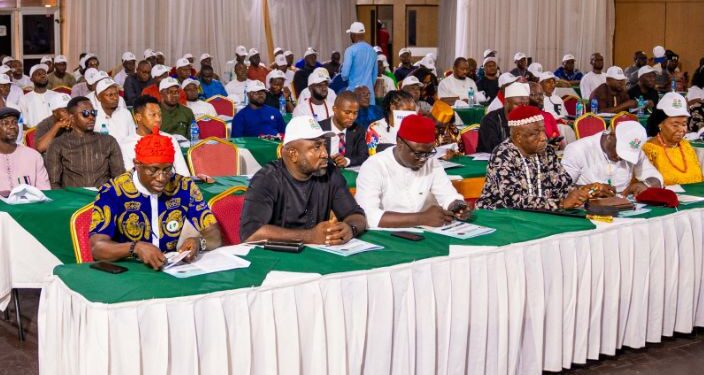 Ohanaeze Ndigbo youth body hails Tinubu for SEDC Act