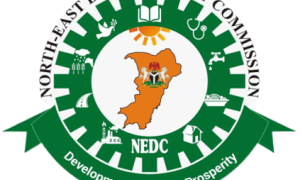 Youth development, our priority – NEDC