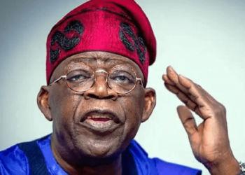 Cattle breeders hail Tinubu for establishing Ministry of Livestock Dev’t