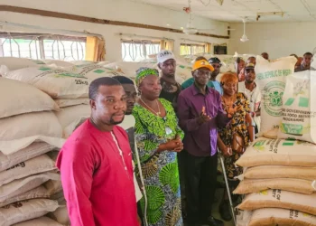 Delta govt distributes food items to Oshimili South residents