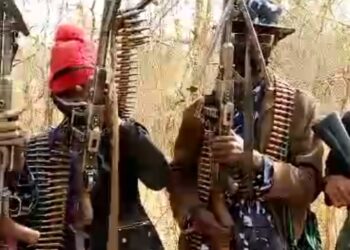 Zamfara group raises alarm over alleged government,bandit connection