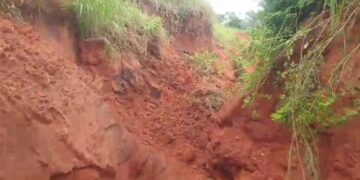 Edo Community Appeals to Government Over Erosion