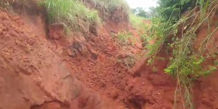 Edo Community Appeals to Government Over Erosion
