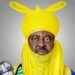 Emirship Tussle: Court permanently restrains Ado- Bayero, 4 others from acting as Emirs