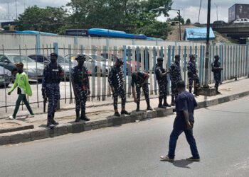 Tinubu Cautions Against Ethnic Bigotry  Divisive Rhetoric Disguised as Protest