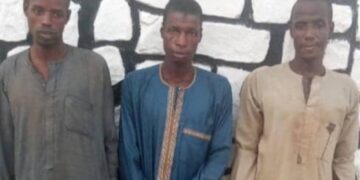 Police arrest two for supplying ammunition to kidnappers in Kaduna, Katsina,  Zamfara