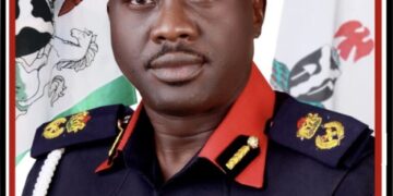 FCT has 460 licensed private guard companies, says NSCDC Commandant