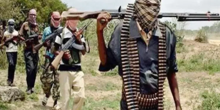 Bandits kidnap 10 locals in Zamfara, demand N50m ransom