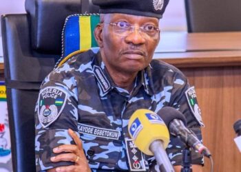 Bad Eggs Sabotaging IGP Egbetokun in the Police Force — Group