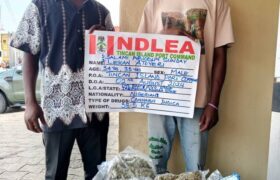 NDLEA seizes ‘loud’ shipment, arrests 10