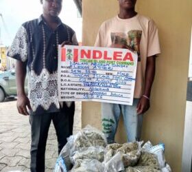 NDLEA seizes ‘loud’ shipment, arrests 10
