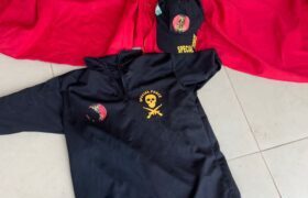 NSCDC parades 2 suspects for alleged  impersonation,  vandalism