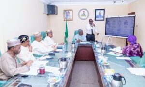 FG revitalising key economic sectors to address challenges