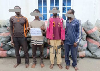 Navy hands over 72 bags of cannabis, 4 suspects to NDLEA