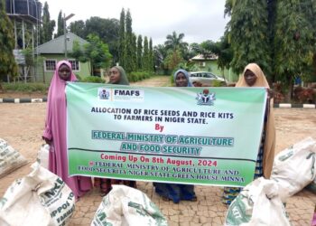 FG distributes starter packs, rice seeds to 150 farmers in Niger