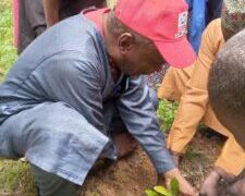 Mercy Corps distributes 1,400 tree seedlings to Katsina communities