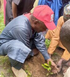 Mercy Corps distributes 1,400 tree seedlings to Katsina communities