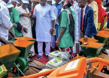 Niger govt, FADAMA distribute inputs to 94,500 farmers