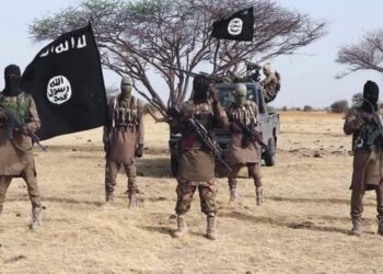 Boko Haram infiltrates protest in Borno, kills 4, injures 34 