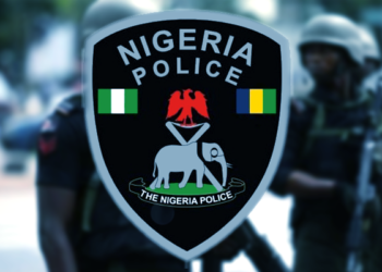 Police detain 2 suspected gunrunners, informant in Kaduna