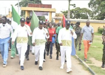 DICON partners int’l, local firms to bolster production– CDS