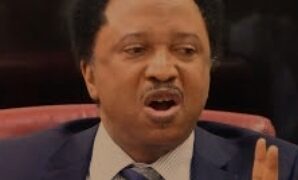Shehu Sani Hails Gobir’s Communities For Confronting Bandits