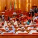 Senate frowns at false claims against Bamidele