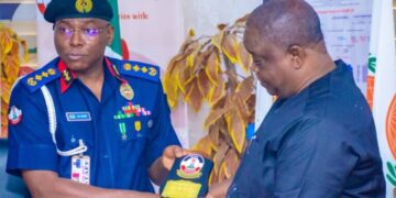 Vandals destroying the Nigerian Railway, MD cries out