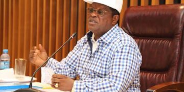 FEC approves 14 road construction in flood affected states