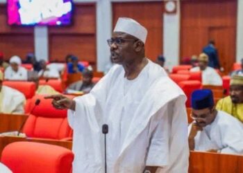 It’s only in Nigeria that politicians steal money, walk freely and are celebrated – Ndume