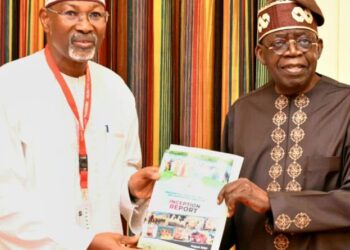 Farmer-herder clashes: Jega-led committee recommends open grazing, ranching
