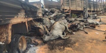 Niger crash: FRSC warns against night travels, unsafe transportation