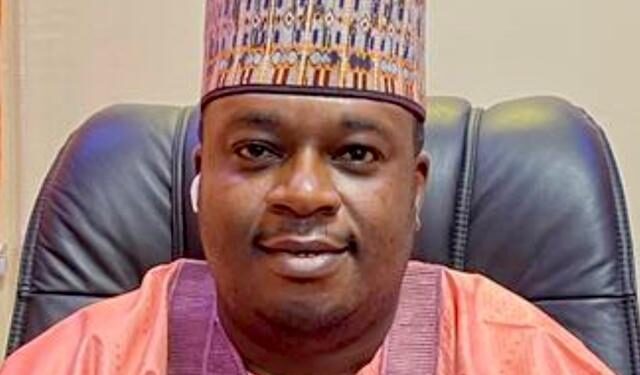 Group Urges FG To Stop State-Run LG Elections, Cites Supreme Court Ruling