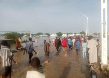 Maiduguri Flood: Residents trooping home as water recedes 