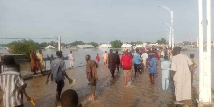 Maiduguri Flood: Residents trooping home as water recedes 