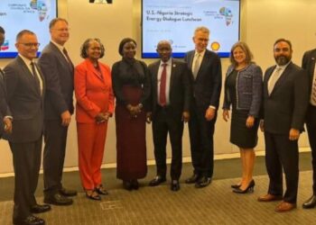 $550m Ubeta upstream gas project kicks off – Presidency