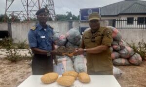 Navy hands over bags of seized cannabis sativa to NDLEA in Badagry