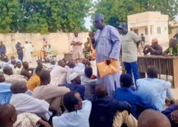 Borno flood relief committee verifies 7,000 victims