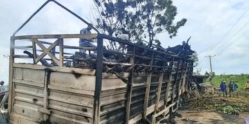 Tragedy as 48 killed, 50 cows burnt alive as petrol tanker explodes in Niger State