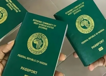 NIS cleared 204,332 passport applications in 10 months, says Interior Minister