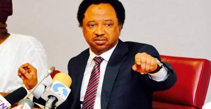 Crack In PDP As 10,000 Shehu Sani’s Supporters Defect To APC