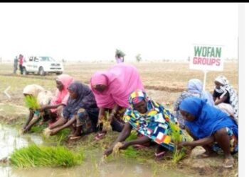 Palm Valley, WOFAN Engages Stakeholders On Peace, Sustainable Agriculture In Kaduna