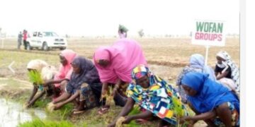 Palm Valley, WOFAN Engages Stakeholders On Peace, Sustainable Agriculture In Kaduna