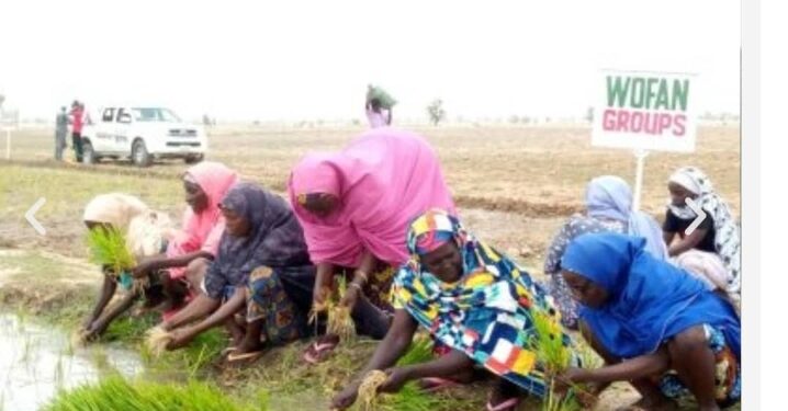 Palm Valley, WOFAN Engages Stakeholders On Peace, Sustainable Agriculture In Kaduna